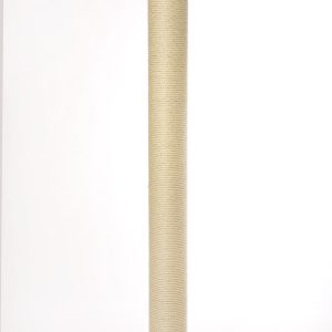 Stamm - Durchmesser 22 cm