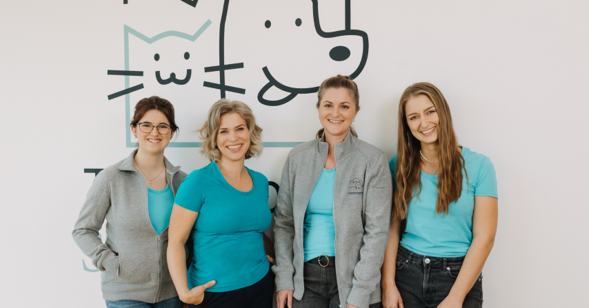 Katzenarzt in Passau