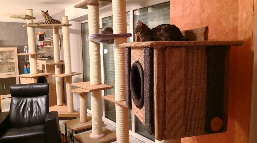 Kratz- und Kletterbaäume kaufen bei Catsadventure