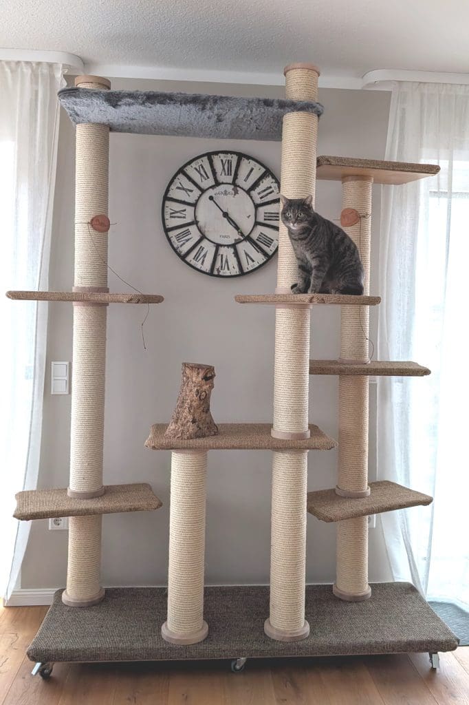 Paulinas Piorkowskas Kratzbaum von Catsadventure