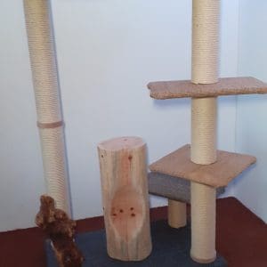 Model Giesbert von catsadventure.de