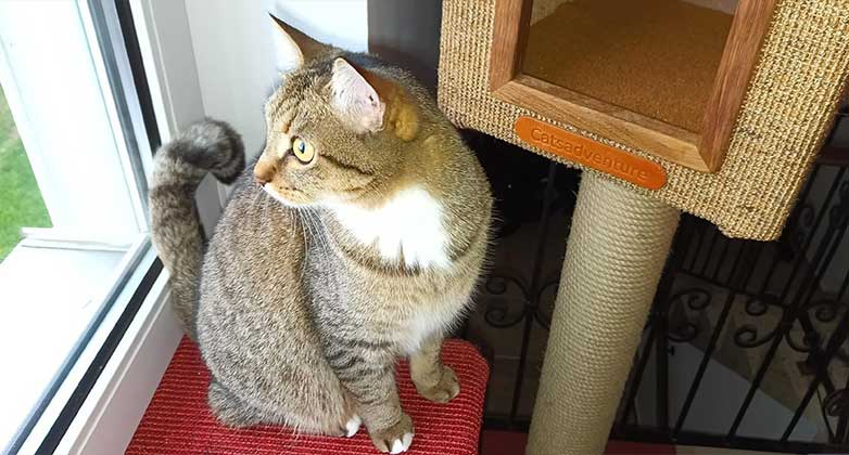 Komfort Schlafhöhle – Bild 2