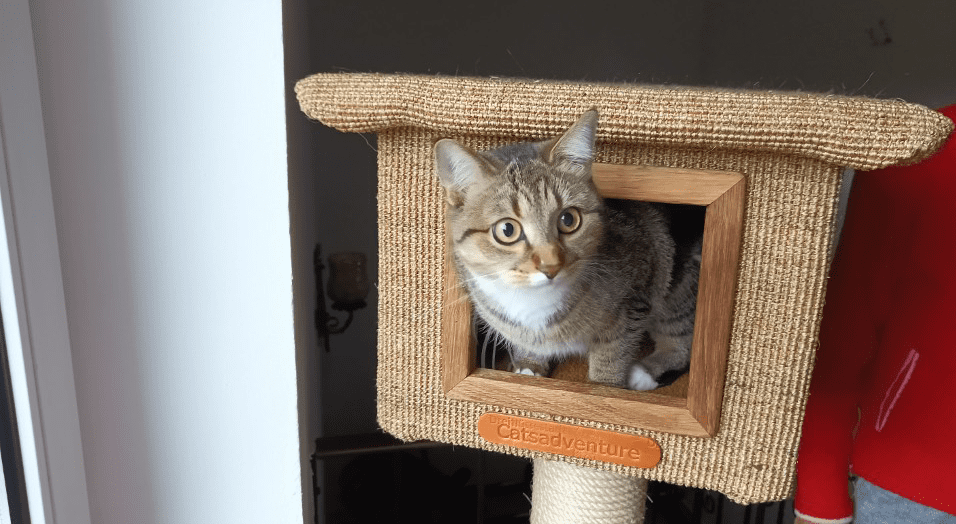 Komfor-Schlaf-Höhle-von-Catsadventure