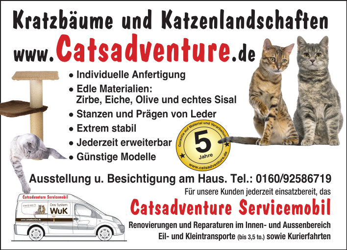 Kratzbäume und Katzenlandschaften kaufen bei Catsadventure